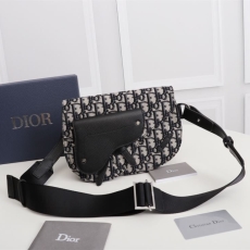 Christian Dior Saddle Bags